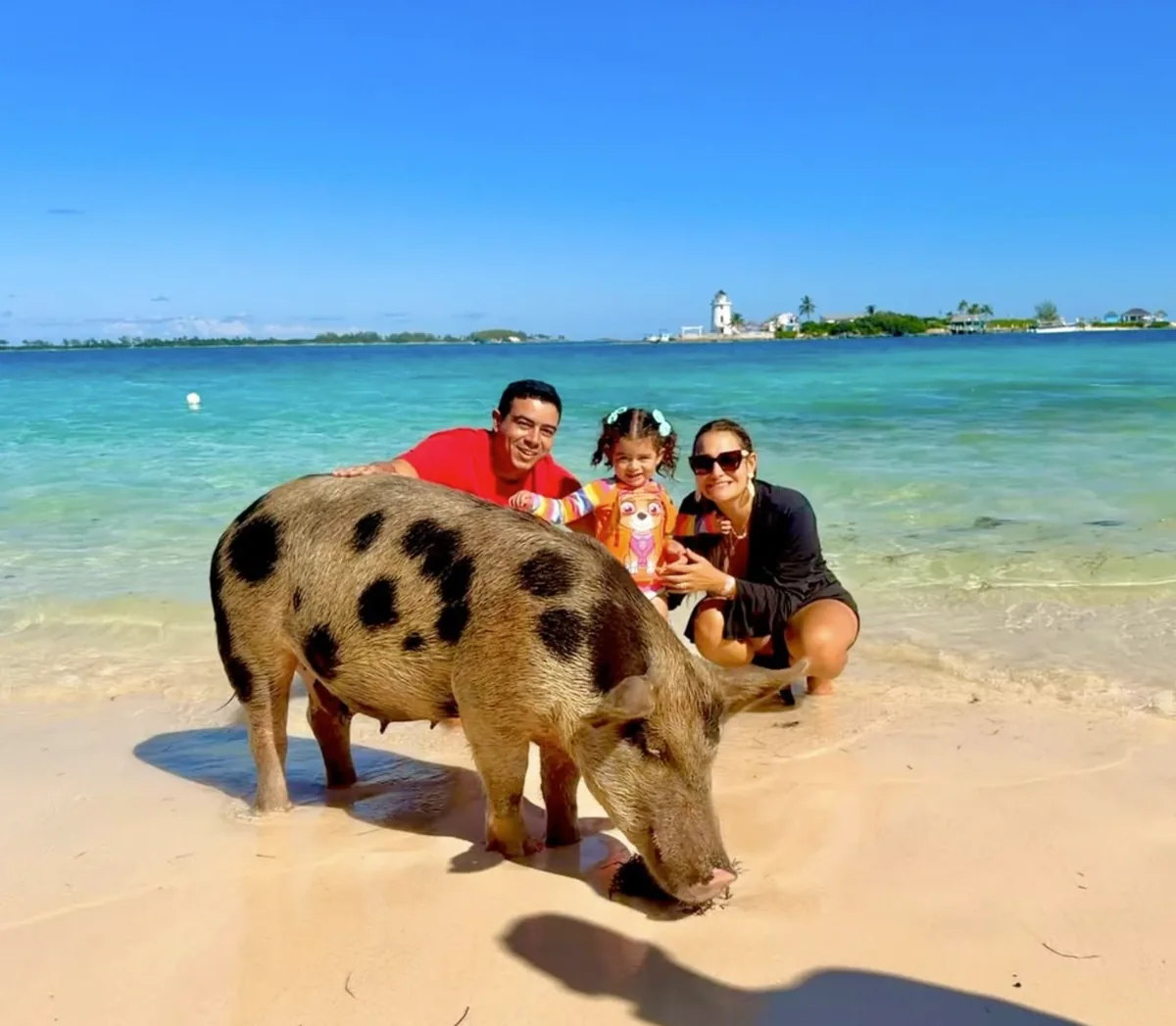 Lore, o marido e a filha agachados na água azul-turquesa ao lado de um porco nadador em Pig Beach, nas Bahamas